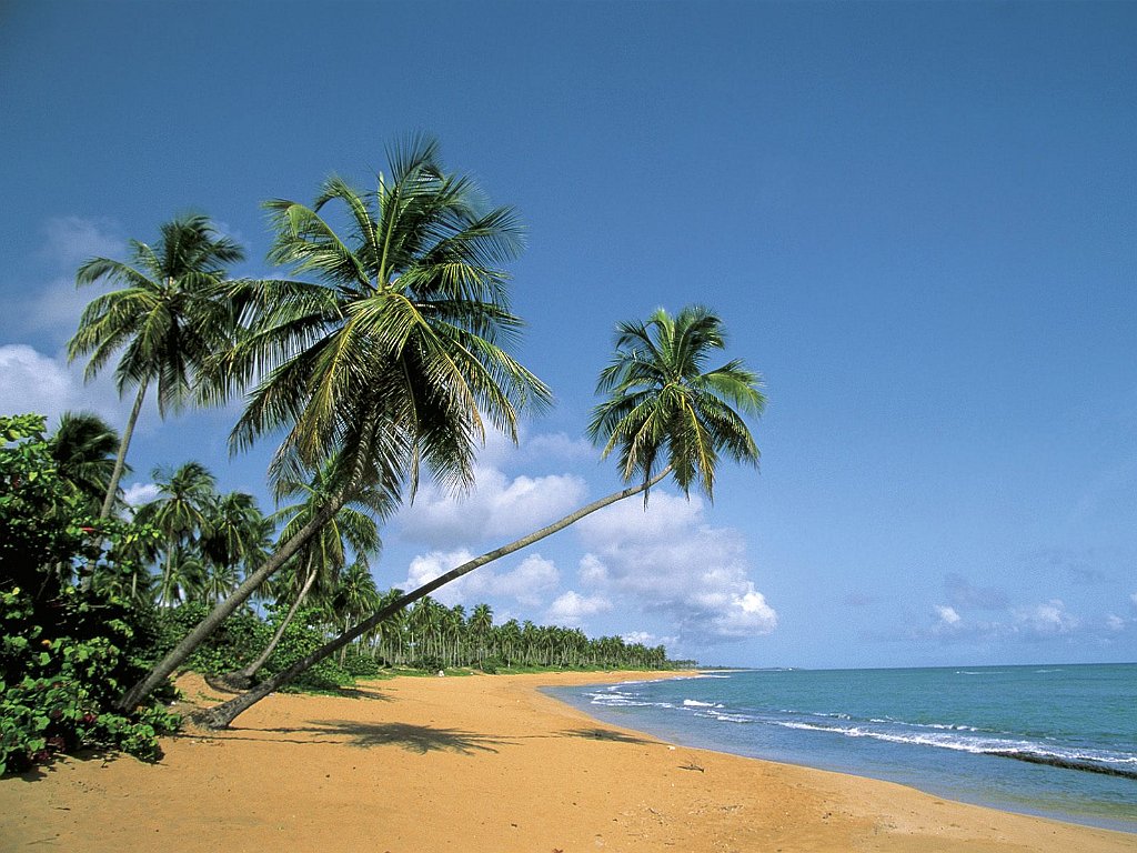 Deserted Beach, Puerto Rico